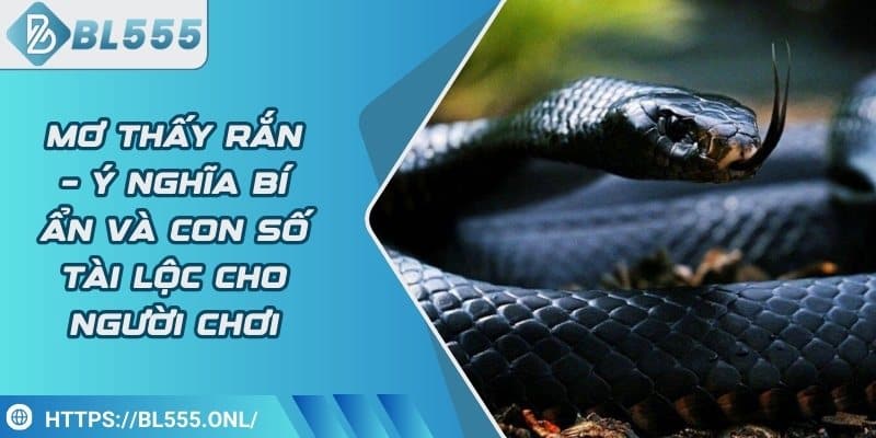 Mơ thấy rắn – Ý nghĩa bí ẩn và con số tài lộc cho người chơi