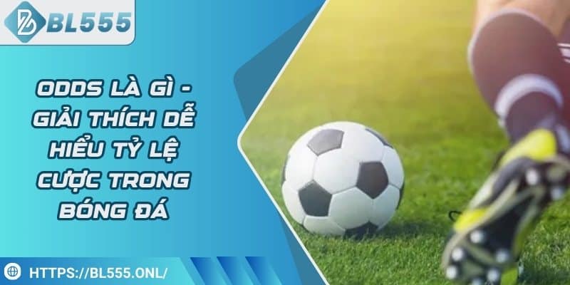 Odds là gì - Giải thích dễ hiểu tỷ lệ cược trong bóng đá