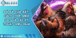 Đá gà cựa sắt - Cách chơi hay và các kỹ thuật hiệu quả