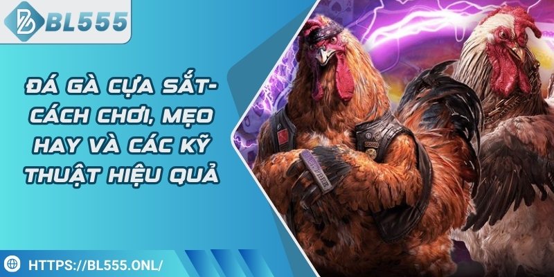 Đá gà cựa sắt - Cách chơi hay và các kỹ thuật hiệu quả